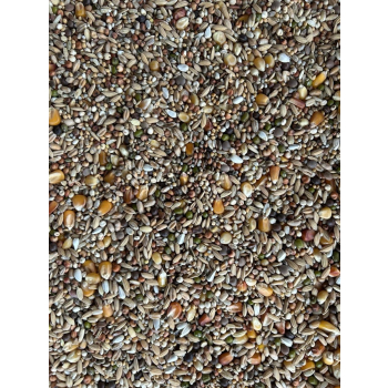 MATADOR - Premium Blitzmix - 20kg (krótkie dystanse)